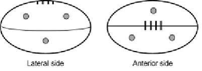 Figure 1 – target used for 20 m accuracy kicks.   