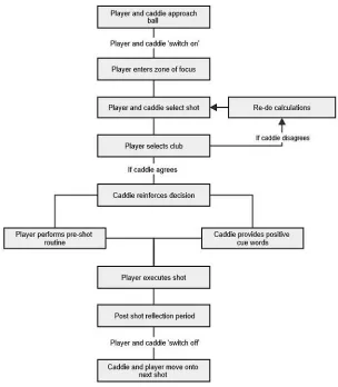 Figure 1. Model depicting the optimal sequence of events in the decision-making of golfers and 