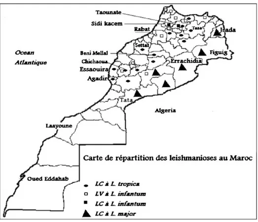 Fig. 1.  Carte de distribution globale des leishmanioses au Maroc [22] 