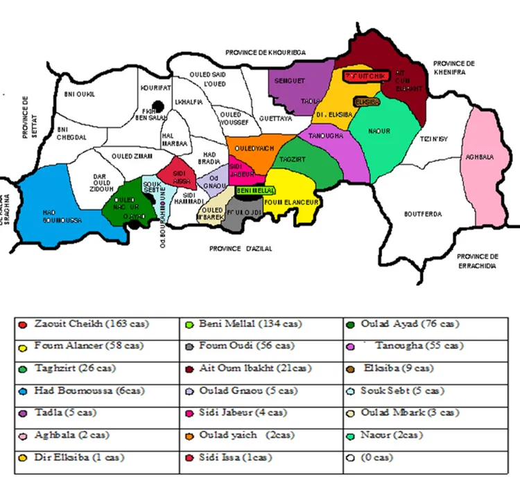 Fig. 3.  Carte épidémiologique de la leishmaniose cutanée dans la province de Beni Mellal (2008-2013)