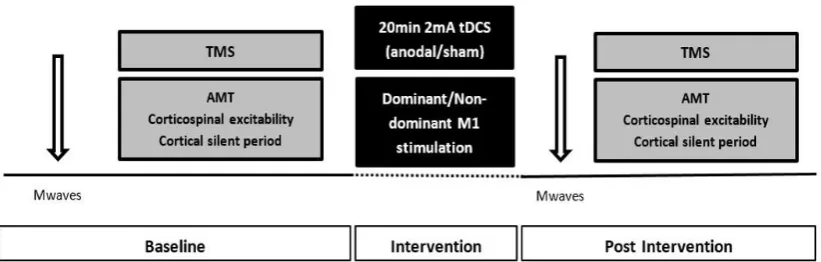 Figure 3.1: Schematic representation of the experimental design with measures 