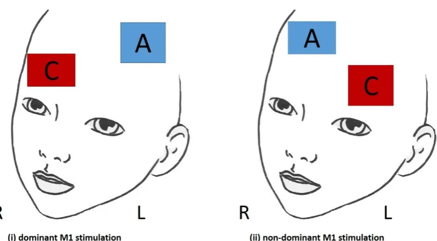 Figure 3.2: Schematic representation of the two tDCS electrode arrangements used. (i) 