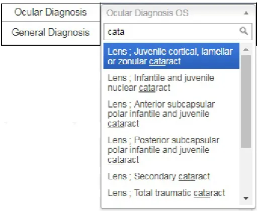 Figure 3. Data entry of symptoms through selection: A symptom is added for the cornea of the righteye shown in the sign pane on the right side of the screen; if a symptom cannot be found, “Others" isthe option where new symptoms can be added