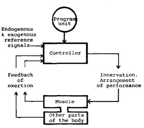 Figure 2-2:  Proposed model of a control system for optimal adjustment of intensity during exercise (Ulmer, 1996)