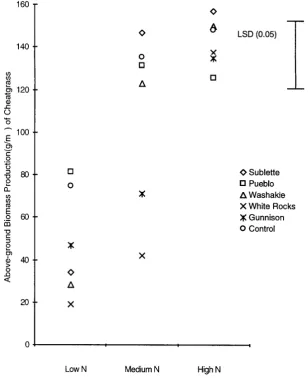 Figure 2. Above-ground biomass production (g∙m−2) of cheatgrass when grown alone (Control) or with 5 squirreltail accessions in a Low, Medium and High nitrogen treatment in 1997
