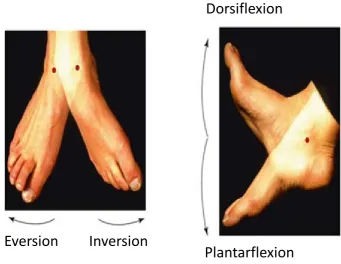 Figure 4.3.1 