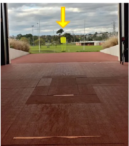 Figure 3.1. Vision of the target 20m away from the kicking area.
