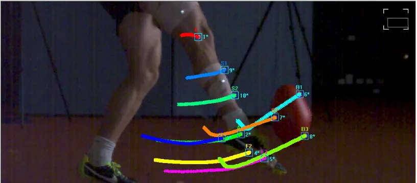 Figure 3.6. Tracking of reflective markers with software Proanalyst from the two-dimensional data