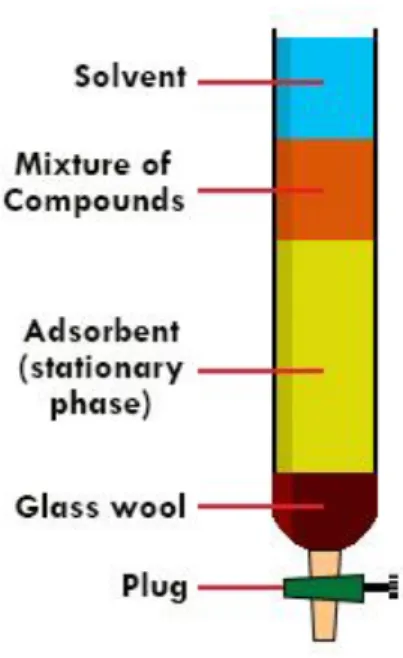 Figure  4  shows  a  diagram of the  change  in  the  specific Gibbs function of formation of tissues  in  ontogenesis