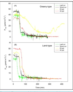 Figure 1. The response of the light-saturated rate of photosynthesis (Pmax) of two different P