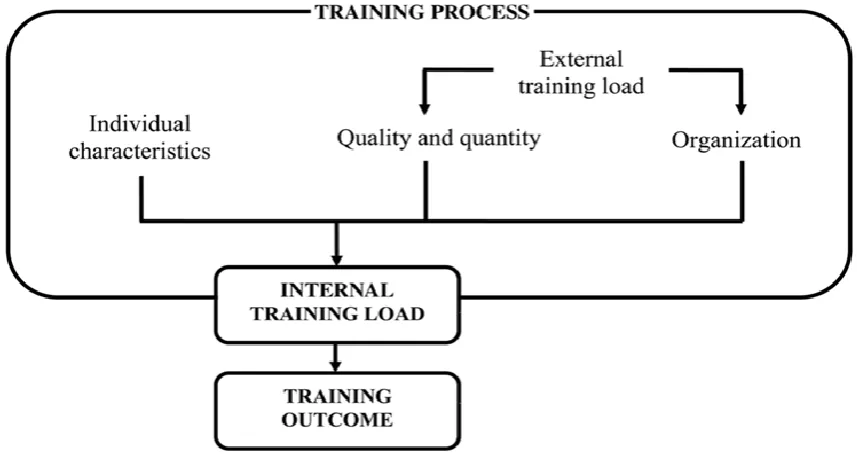 Figure 1.1:  The conceptual model of the training process (Impellizzeri et al., 2005)