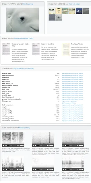 Figure 7. Partial HTML rendering of the RDF graph describing the beluga (i3s.unice.fr/demo-sms?param=Delphinapterus+leucasconstructed by querying Linked Data and multiple SPARQL micro-services