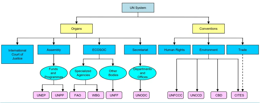 Figure 1. Framework of the United Nations System related with issues on illegal logging and related trade