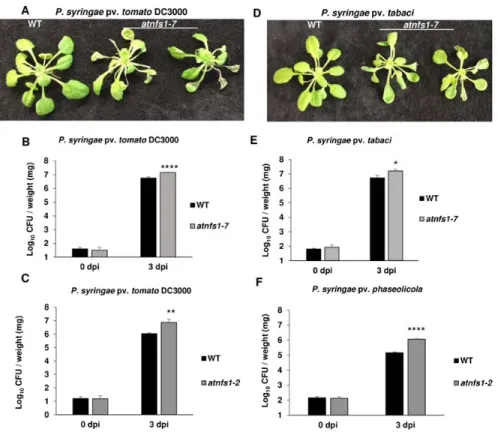 Figure S5). Since complete loss of NFS1 leads to lethality or severe developmental defects with 232 