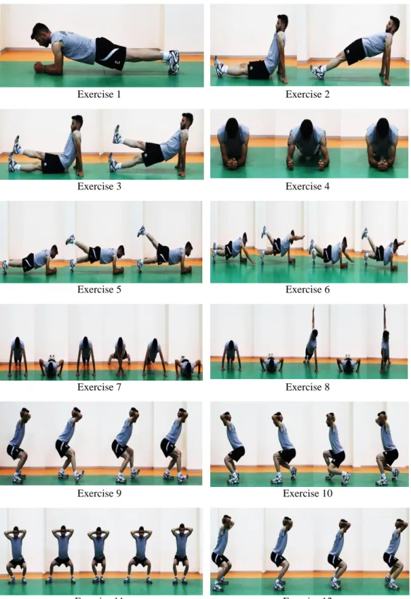 Figure 1: Core Training Exercises  Exercise 1  Exercise 2  Exercise 3  Exercise 4  Exercise 5  Exercise 6  Exercise 7  Exercise 8  Exercise 9  Exercise 10  Exercise 11  Exercise 12 