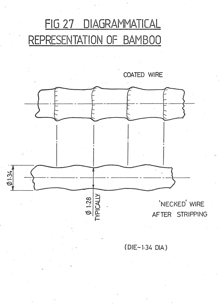 FIG 27  DIAGRAMMATICAL REPRESENTATION  OF  BAMBOO