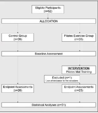 Figure 1: Flow diagram  Assessments 