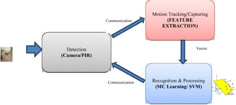 Figure 1. Whole process in nutshell. When the animal is presence detection, tracking, communication and recognition take place