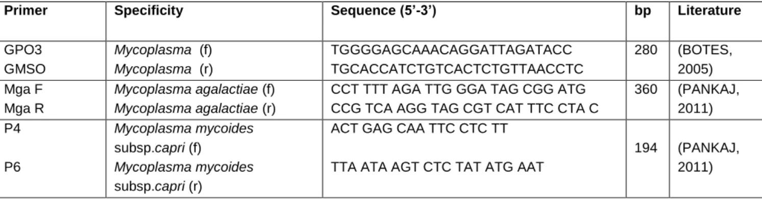 Table 1. Oligonucleotide primers specifically used in the genes investigated in the PCR analyzes 