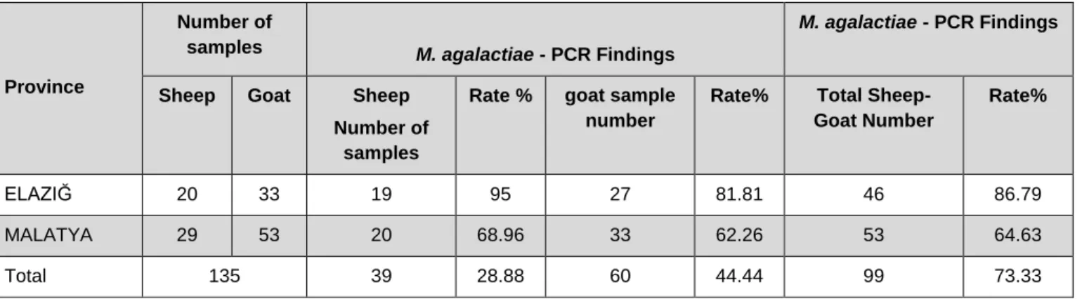 Table 4. Mycoplasma sp. specific PCR results of positive milk PCR products in terms of M