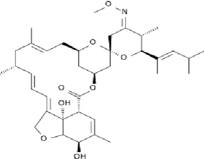 Fig No.1: Structure of Moxidectin 