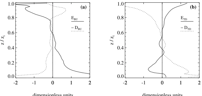 Figure 2.5: Entrainment and detrainment rates, determined from LES case BUTD for(a) bottom-up diffusing scalar BU and (b) top-down diffusing scalar TD.