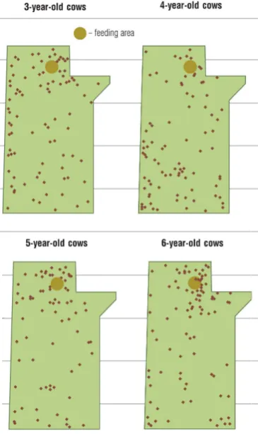 Figure 1. Geographic coordinates of each cow-calf pair on the pasture, separated by age