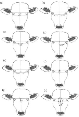 Figure 2. Description of the six hair whorl patterns (HW): (a) A normal middle HW with a clear center and a spiral pattern