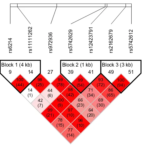 Table 3 contains the haplotype analysis of rs5742629 