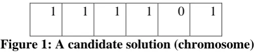 Figure 1: A candidate solution (chromosome) 