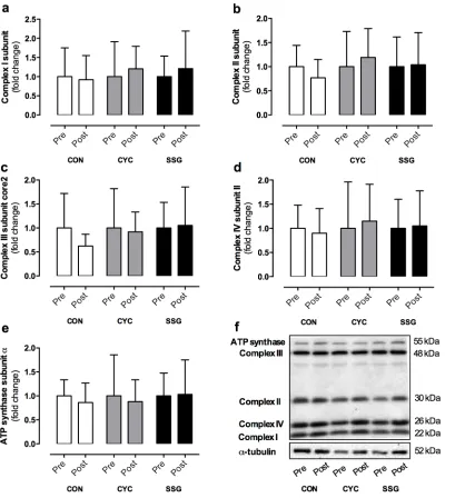 Fig 3. Total protein content of Mitochondrial Complex I subunit (a), Complex II subunit (b), Complex III subunit core2 (c), Complex IV subunit II (d),ATP synthase subunit-α (e) and representative blots corrected to α-tubulin (f) before (pre) and after (pos