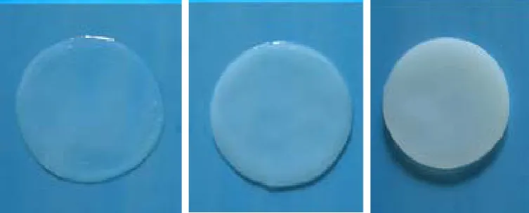 Figure 2. Bacterial cellulose 1, 7, 14 days (left to right), the thickness of bacterial cellulose depends on growth time
