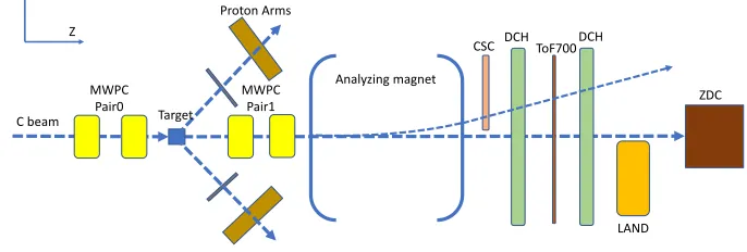 Figure 1. Schematic view of the SRC at BM@N experimental setup.
