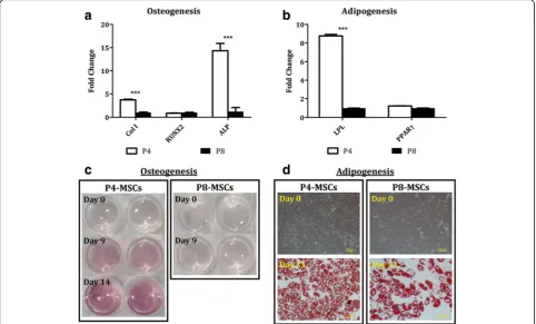 Fig. 8 Differentiation capacity of P4-MSCs versus P8-MSCs derived from the DMEM-based expansion condition