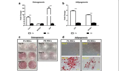 Fig. 9 Differentiation capacity of P4-MSCs versus P8-MSCs derived from thebsamples were used as the control groups