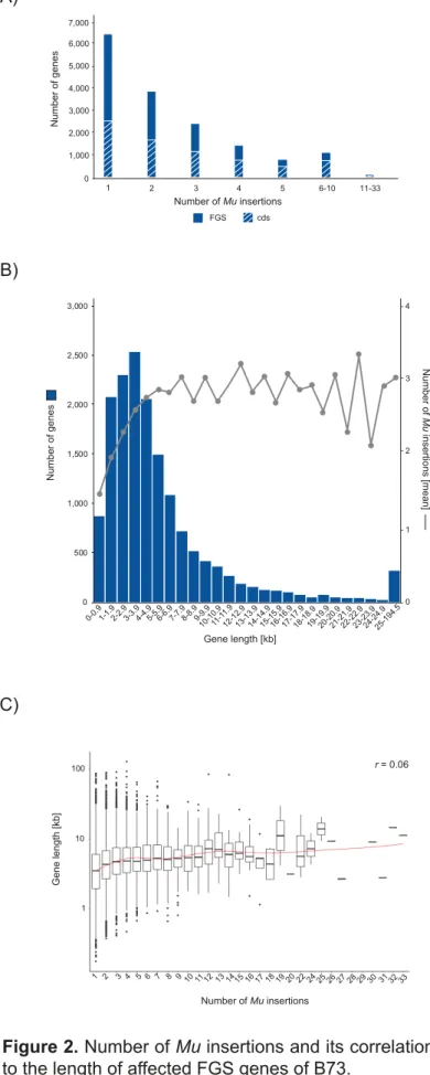 Figure 2. Number of Mu insertions and its correlation  to the length of affected FGS genes of B73.