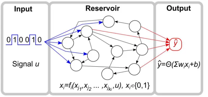 Figure 1. Reservoir computer layout. The RC is composed of a binary input node, a Boolean network reservoir, and a binary output node