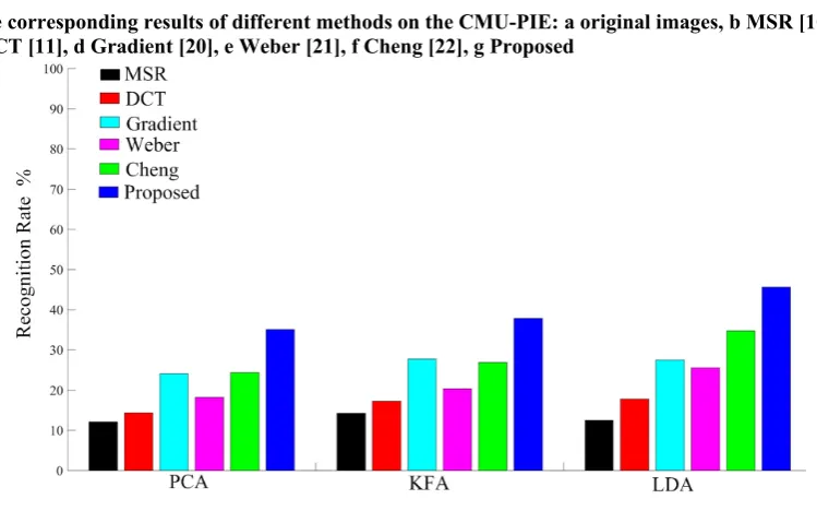 Fig. 9 The corresponding results of different methods on the CMU-PIE: a original images, b MSR [10],  