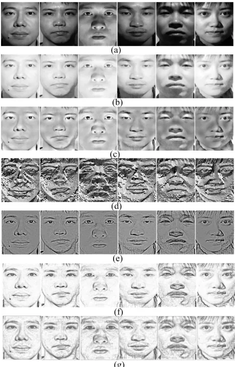 Fig. 11 The corresponding results of different methods on the CSA-PEAL-R1: a original images,  b MSR [10], c DCT [11], d Gradient [20], e Weber [21], f Cheng [22], g Proposed  