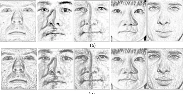 Fig. 4 (a) FMF results used in Fig. 3 (b) Results of normalization transformation 