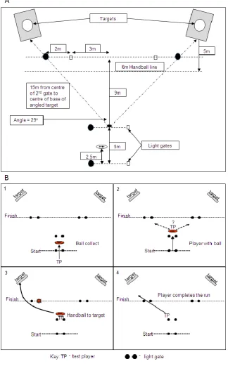 Figure 1: Schema of test area set up (A) and testing procedure (B) for the Reactive 