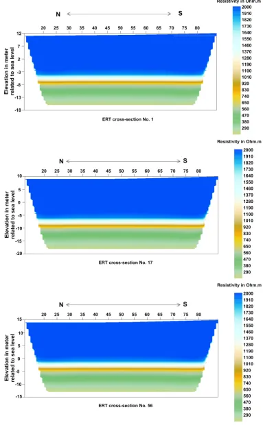 Figure 5. Two-dimensional resistivity topographical profiles No. 1, 17, and 56.                      