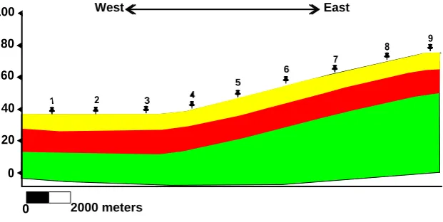 Figure 11. Depth cross-section along profiles (8, 16, 24, 32, 40, 48, and 56).             