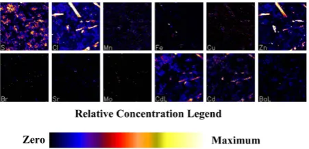 Figure 9. EDS Spectrum of the CdZnS nanoparticle composite.              