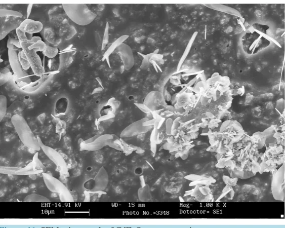 Figure 11. SEM micrograph of CdZnS nanocomposite.                    