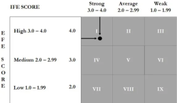 Figure 1.  IE Matrix 
