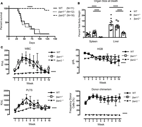 Figure 1. β< 0.0001 for time/row factor, mice receiving White blood cells (WBCs) were lower over time in mice receiving receiving -Arrestin2 is necessary for development of primary myelofibrosis in a murine disease model