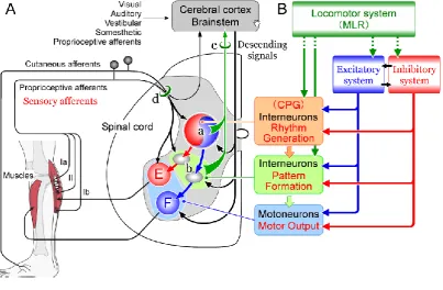 Figure 2.2.3.1.1 