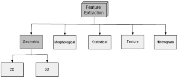 Fig. 3: Feature Extraction Types.