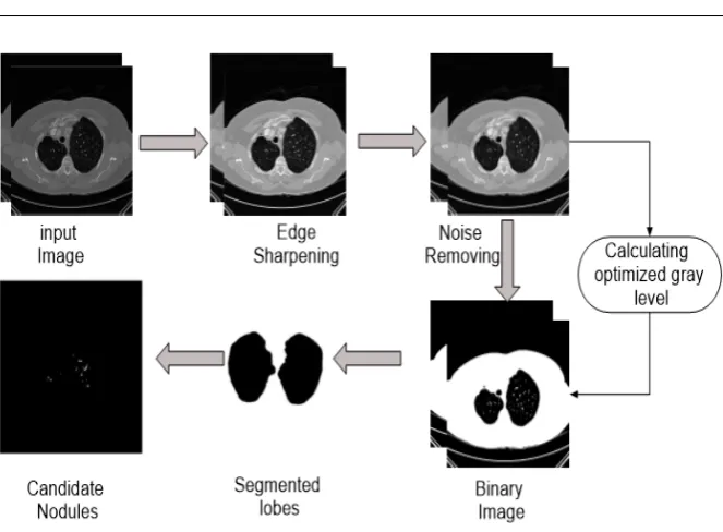 Fig. 5: Candidate Nodule Segmentation.